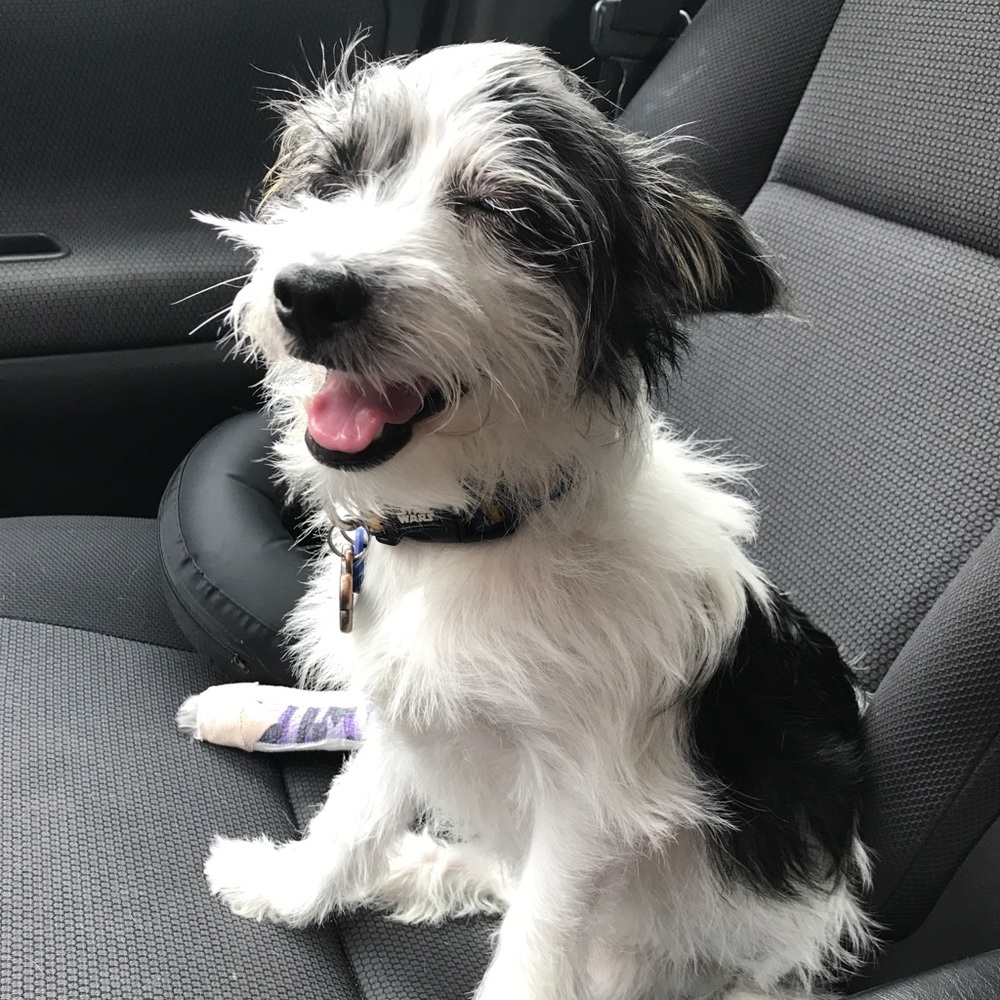 Meet your Posher, Mindy